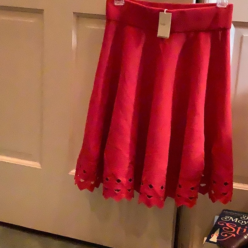 Maje red stretchy skirt.